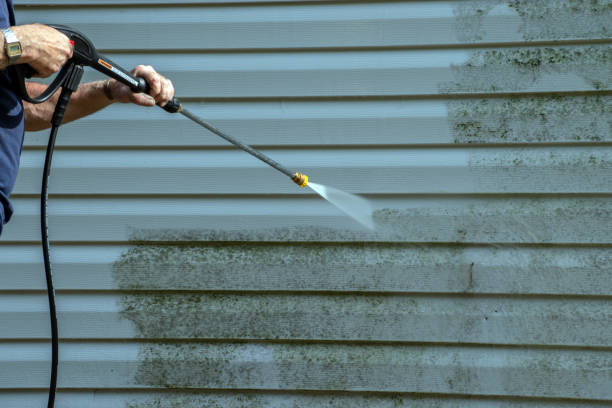 Best Roof Pressure Washing  in Taft Southwest, TX